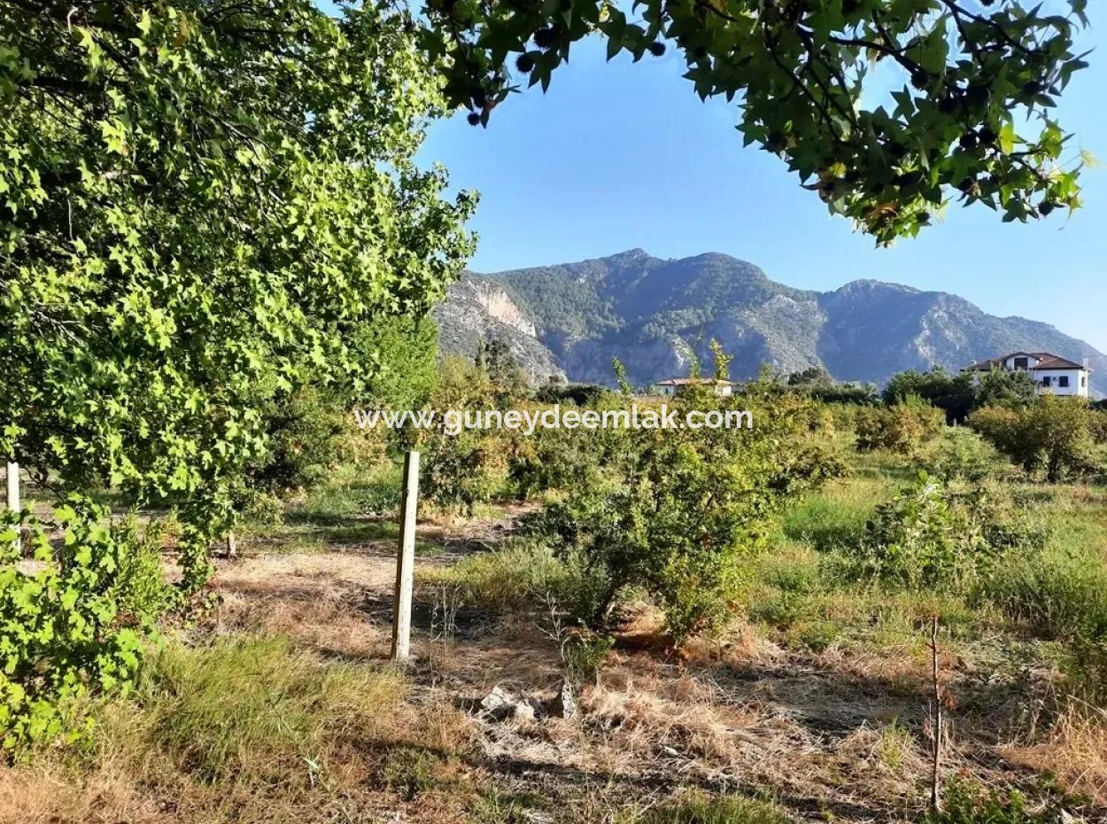 Grundstück Geeignet Für Investitionen Zum Verkauf In Mugla Dalyan Marmarlı