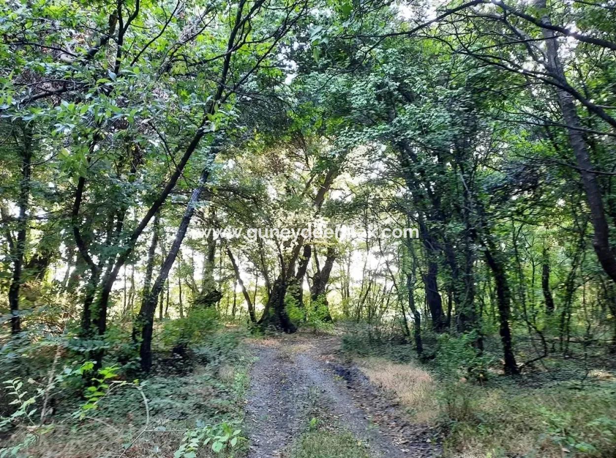 Grundstück Geeignet Für Investitionen Zum Verkauf In Mugla Dalyan Marmarlı