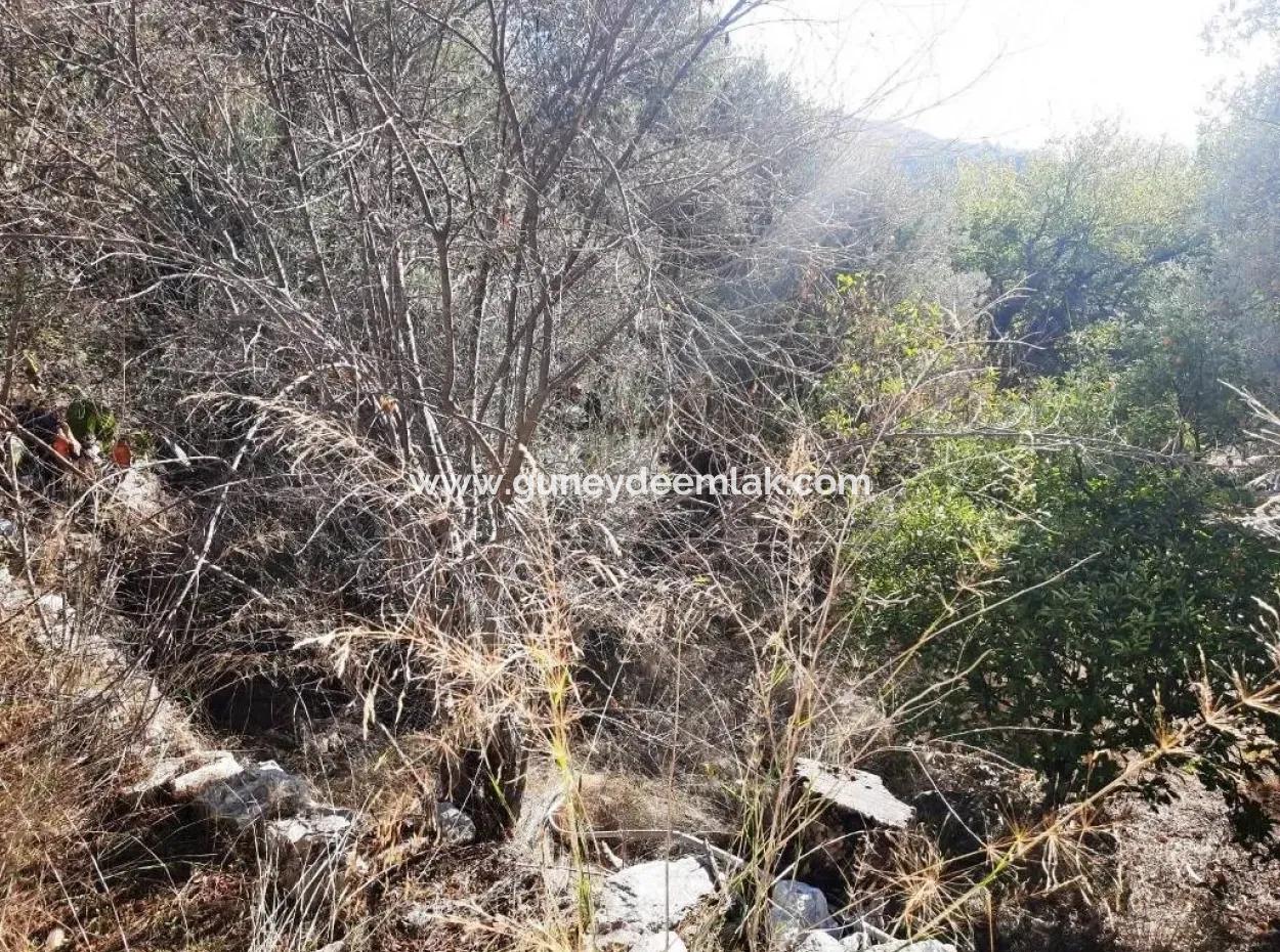 Freistehendes Dorfhaus Mit Meer- Und Naturblick Zum Verkauf In Ula Gokova