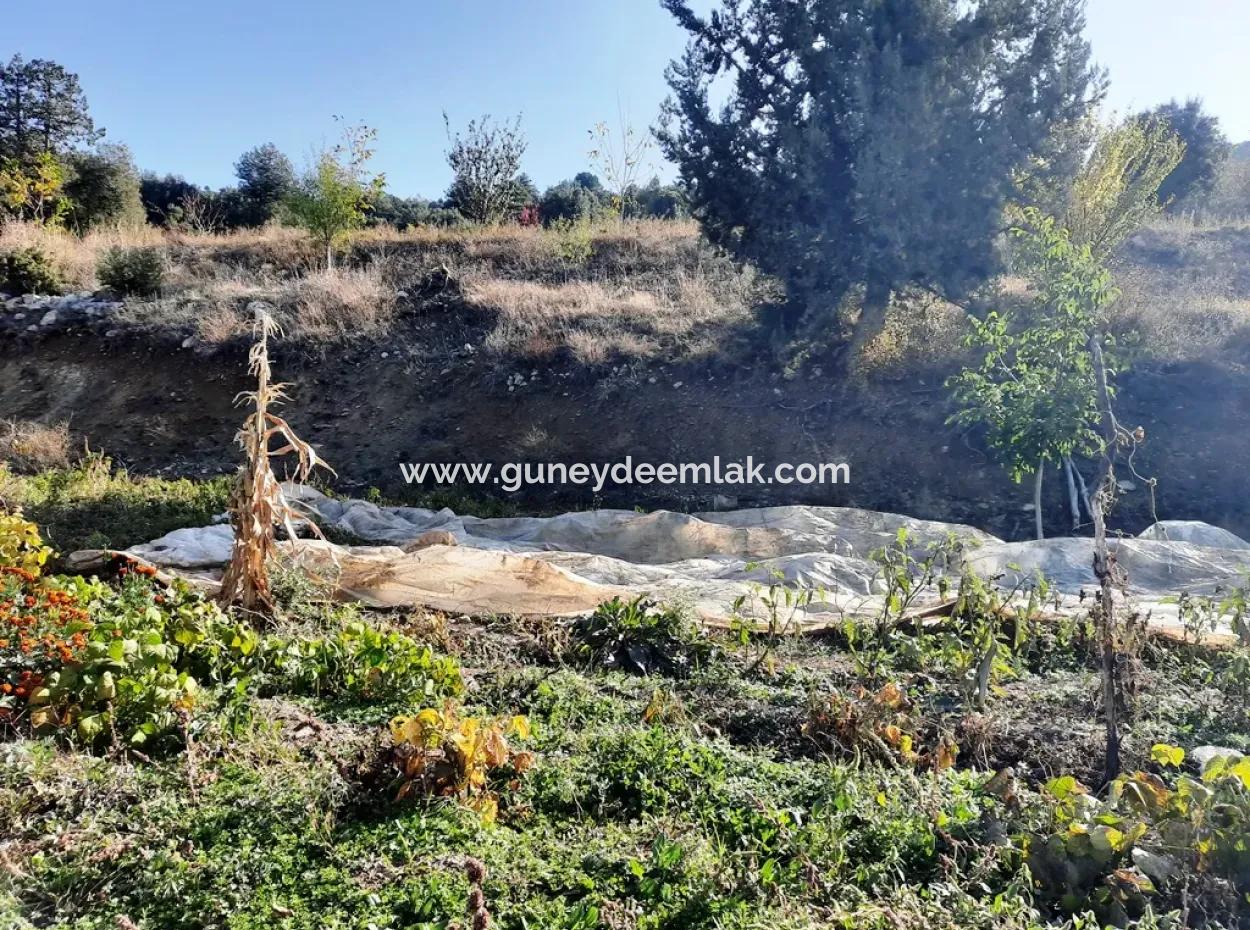 Denizli Çameli Kizilyaka Schmetterling Land Und Dorfhaus Mit Hundeblick Zum Verkauf