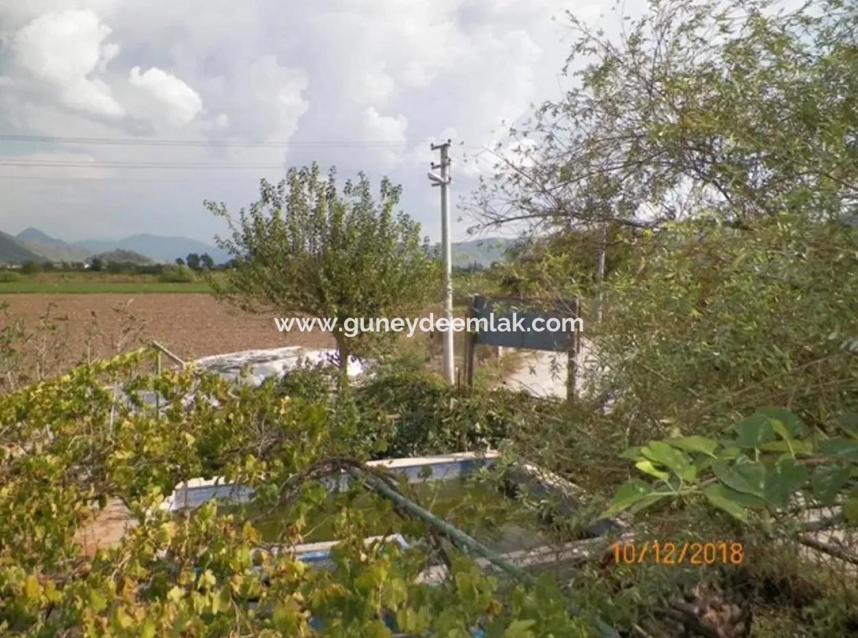 12 000 M2 Großen Bauernhof Zum Verkauf Zertifizierte Bio-Landwirtschaft Oriya Eskiköy