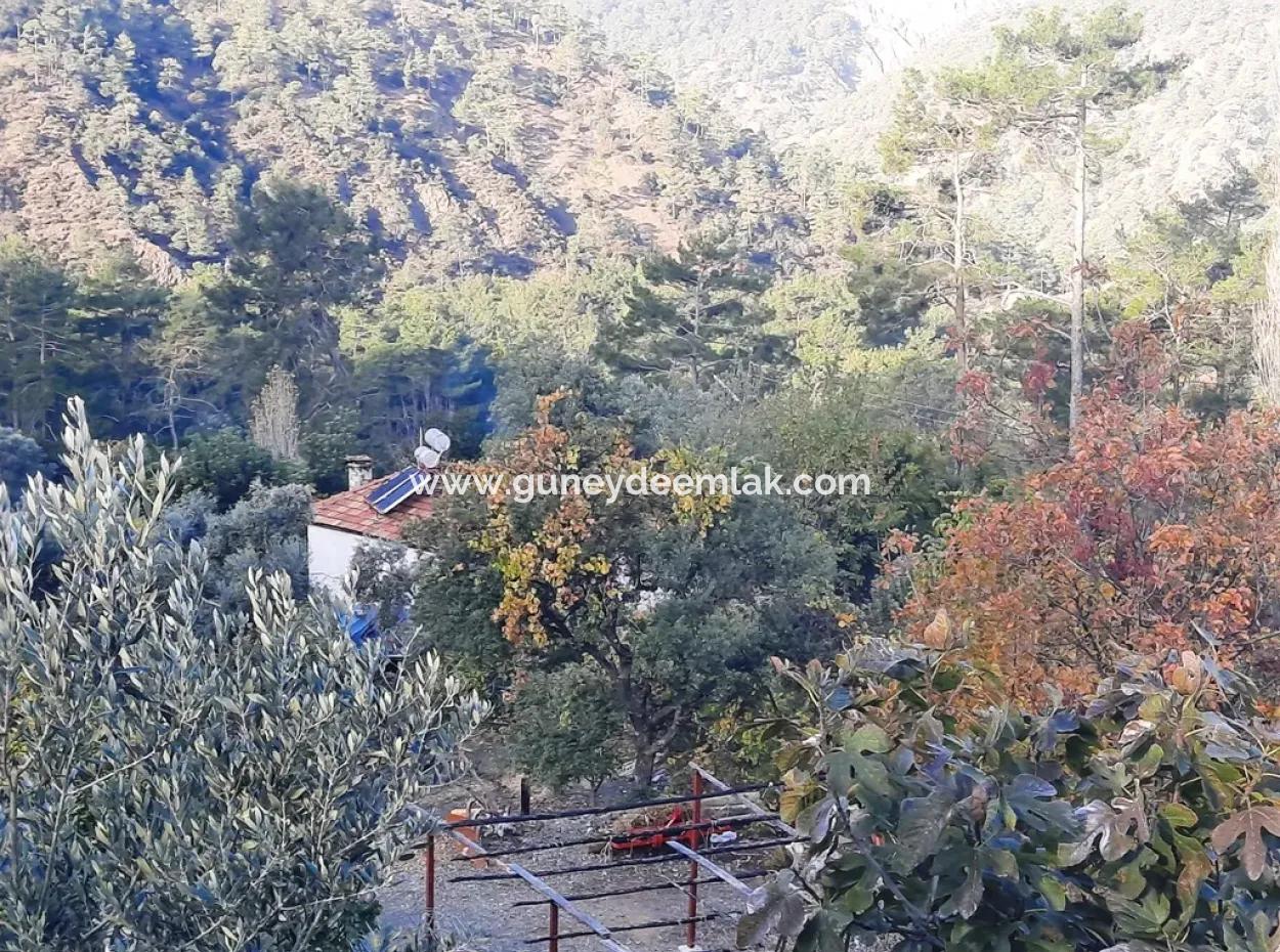 Mugla Dalaman Narli 1800 M2 Schnäppchen Land Zu Verkaufen