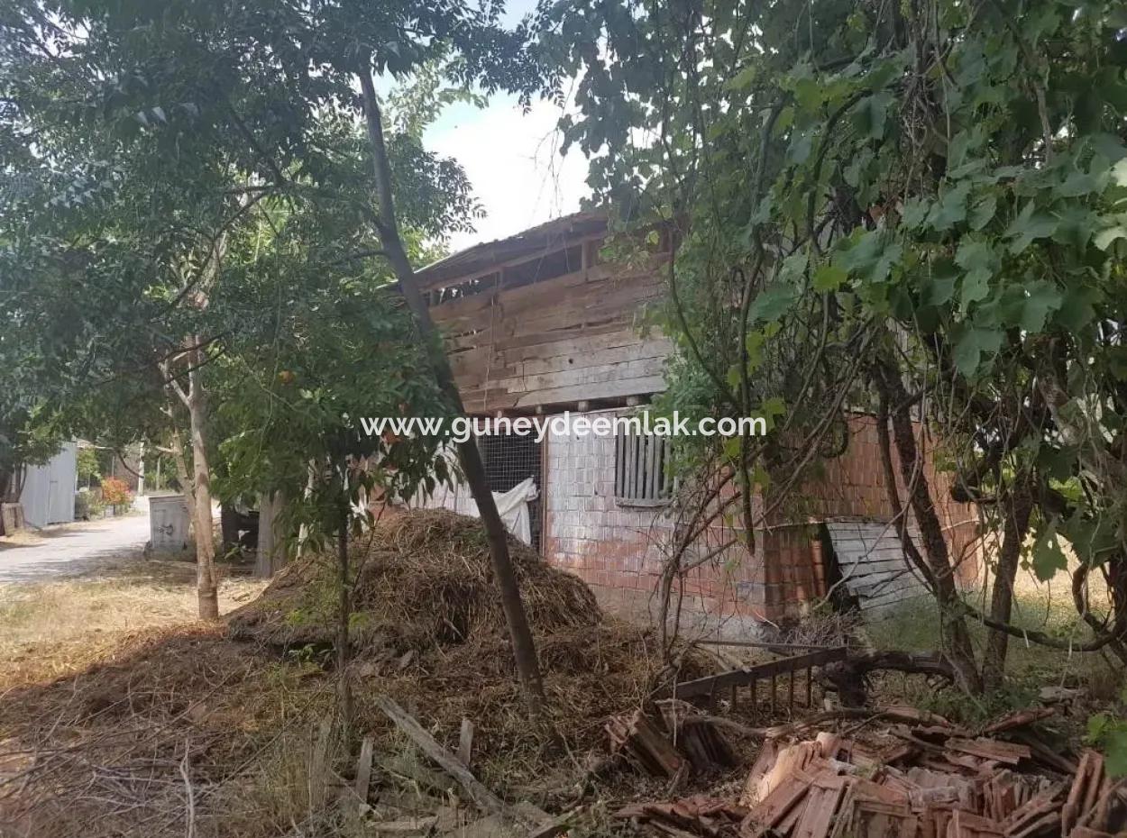 Dorf Haus Zum Verkauf In Koycegiz Entzündung