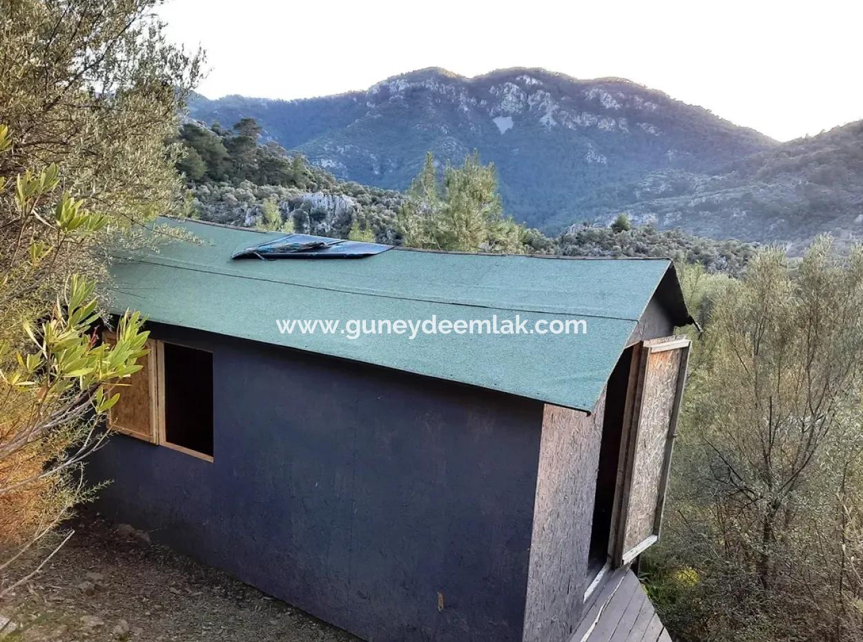 Mugla Dalyan Gokbel 1700 M2 Freistehendes Land Und Bungalow Mit Blick Auf Die Natur