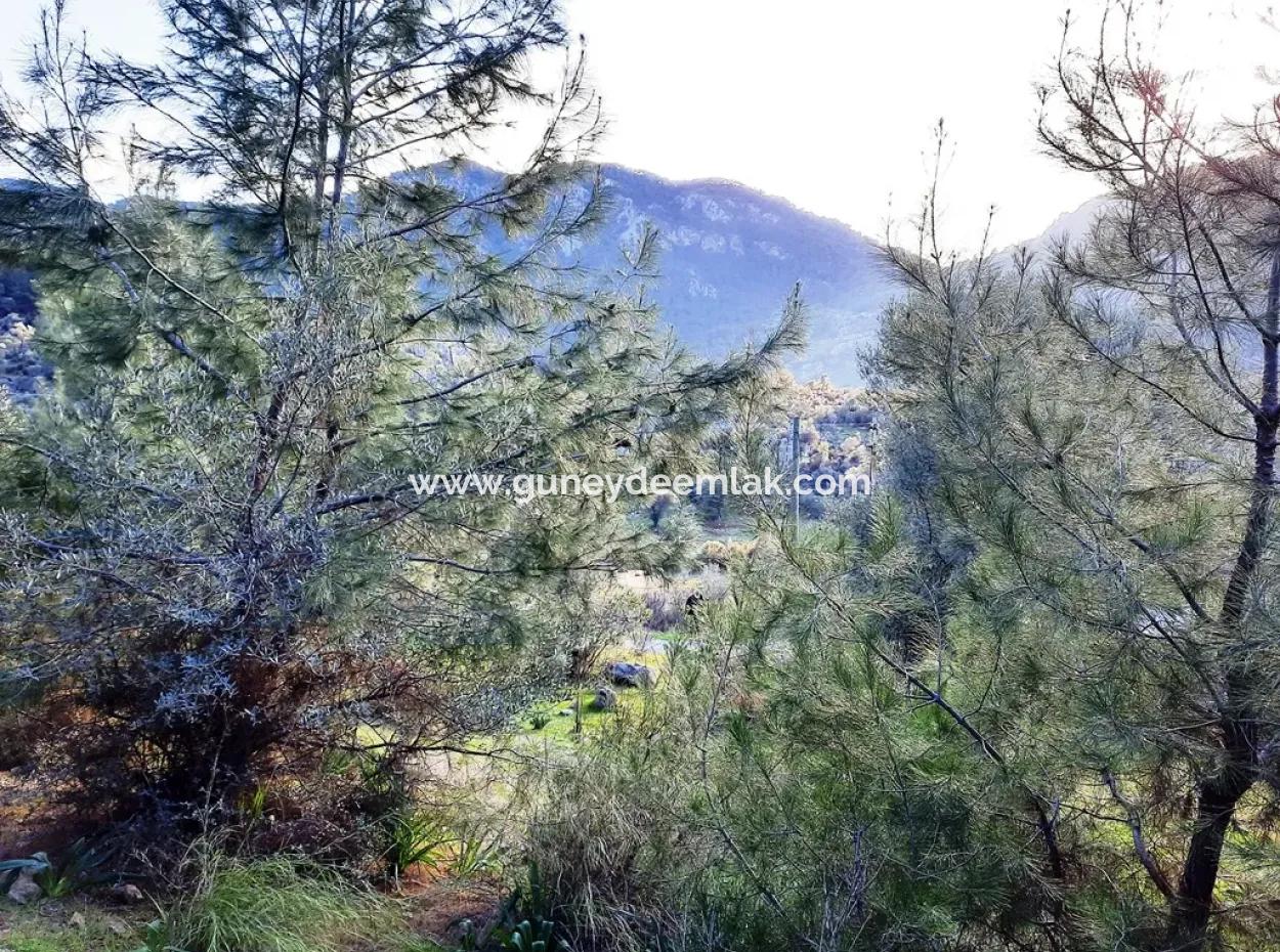 Mugla Dalyan Gokbel 1700 M2 Freistehendes Land Und Bungalow Mit Blick Auf Die Natur