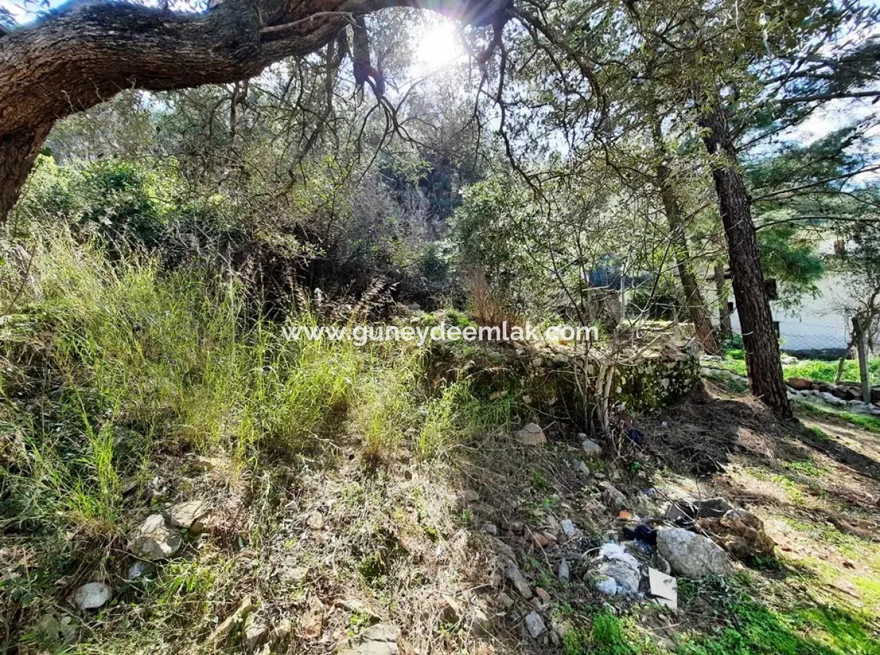 Ruiniertes Dorfhaus Aus Stein Zum Verkauf In Gökova Und Seinem Land
