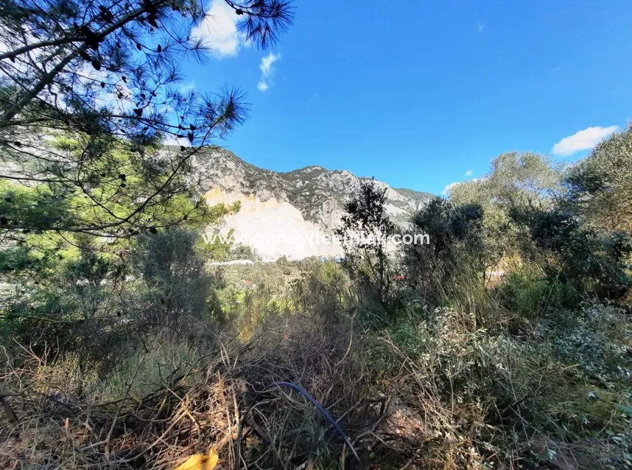 Ruiniertes Dorfhaus Aus Stein Zum Verkauf In Gökova Und Seinem Land