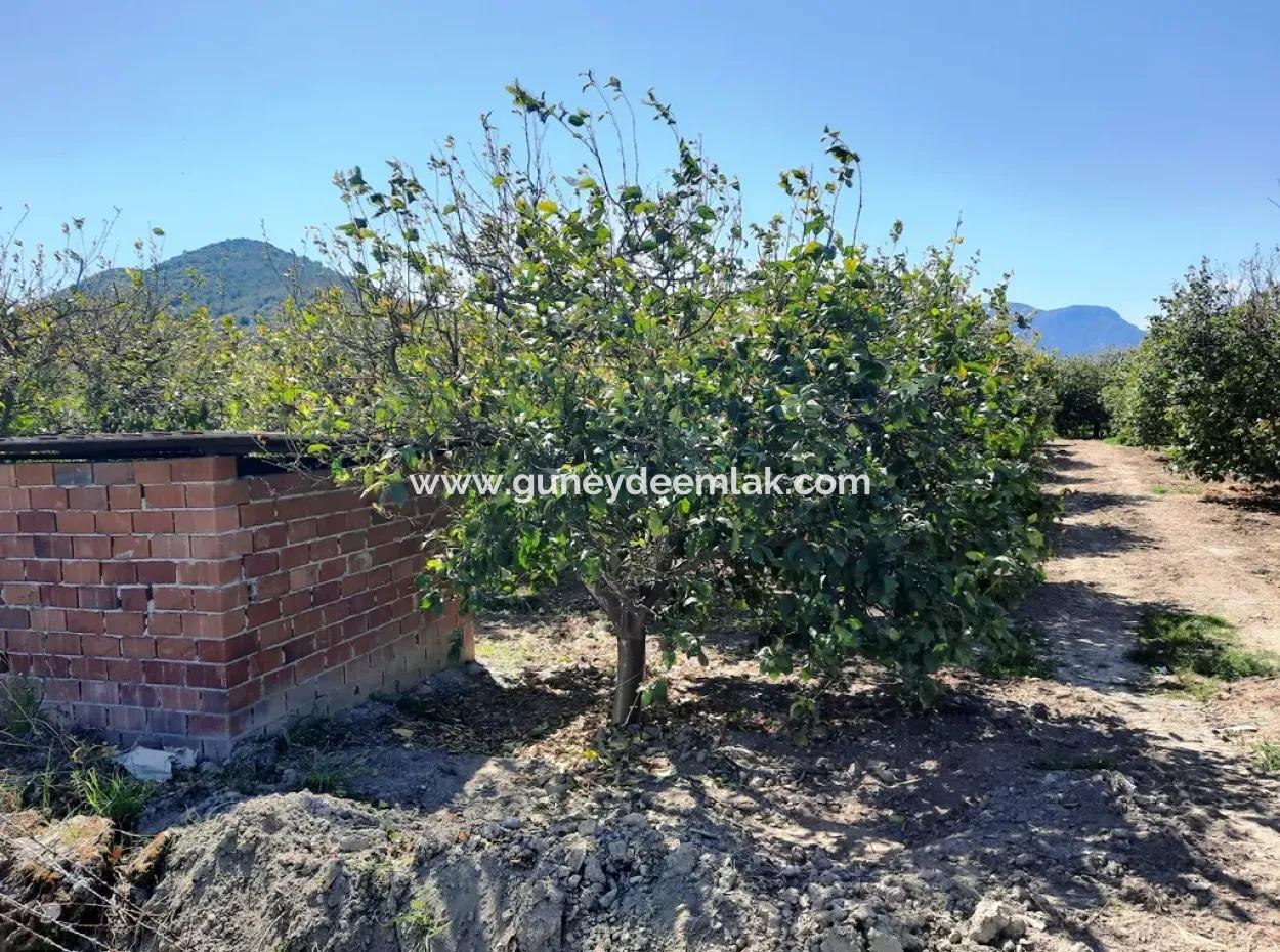 530 M2 Fläche Zum Verkauf In Mugla Ortaca Fevziye