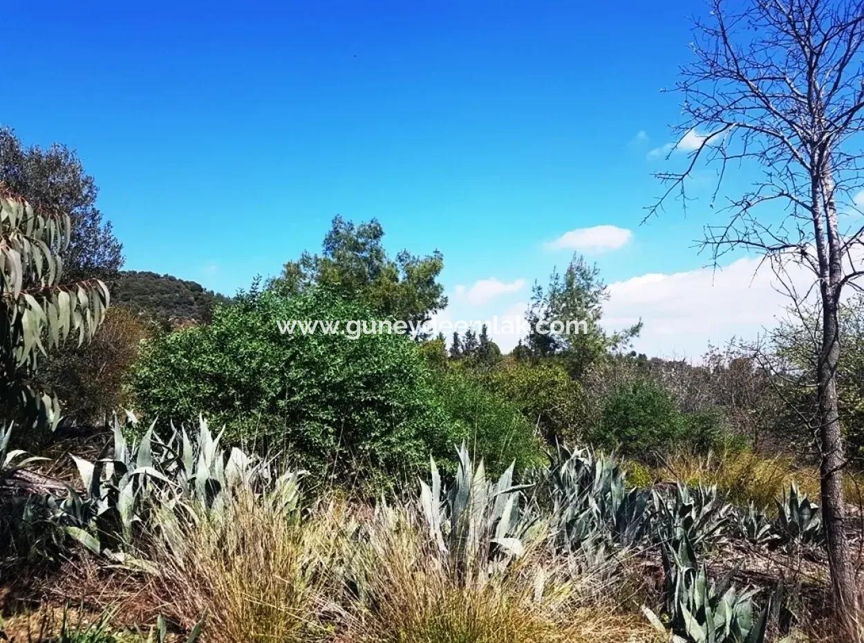 Ausgezeichnete Grundstück Zum Verkauf Schnäppchen, 2616 M2 Einfamilienhaus-Parzellen 6