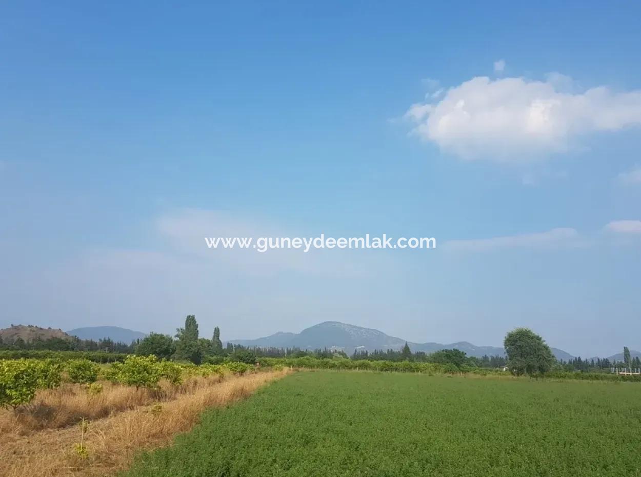 3700 M2 Fruchtbares Feld Zum Verkauf In Ortaca Fevziye