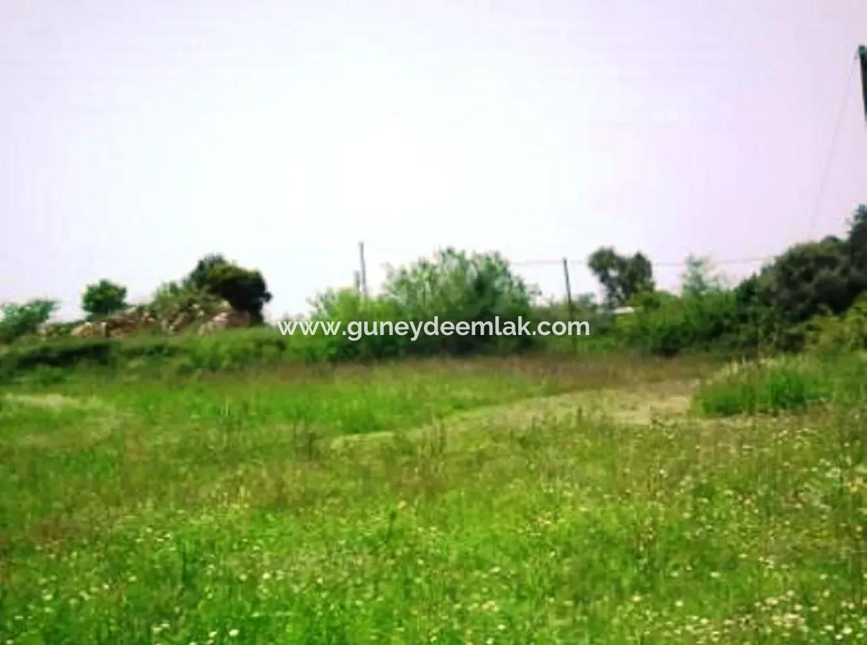 Oriya Fevziye Für Verkauf Schnäppchen Landen, Geeignet Für Investition, 1500 M2