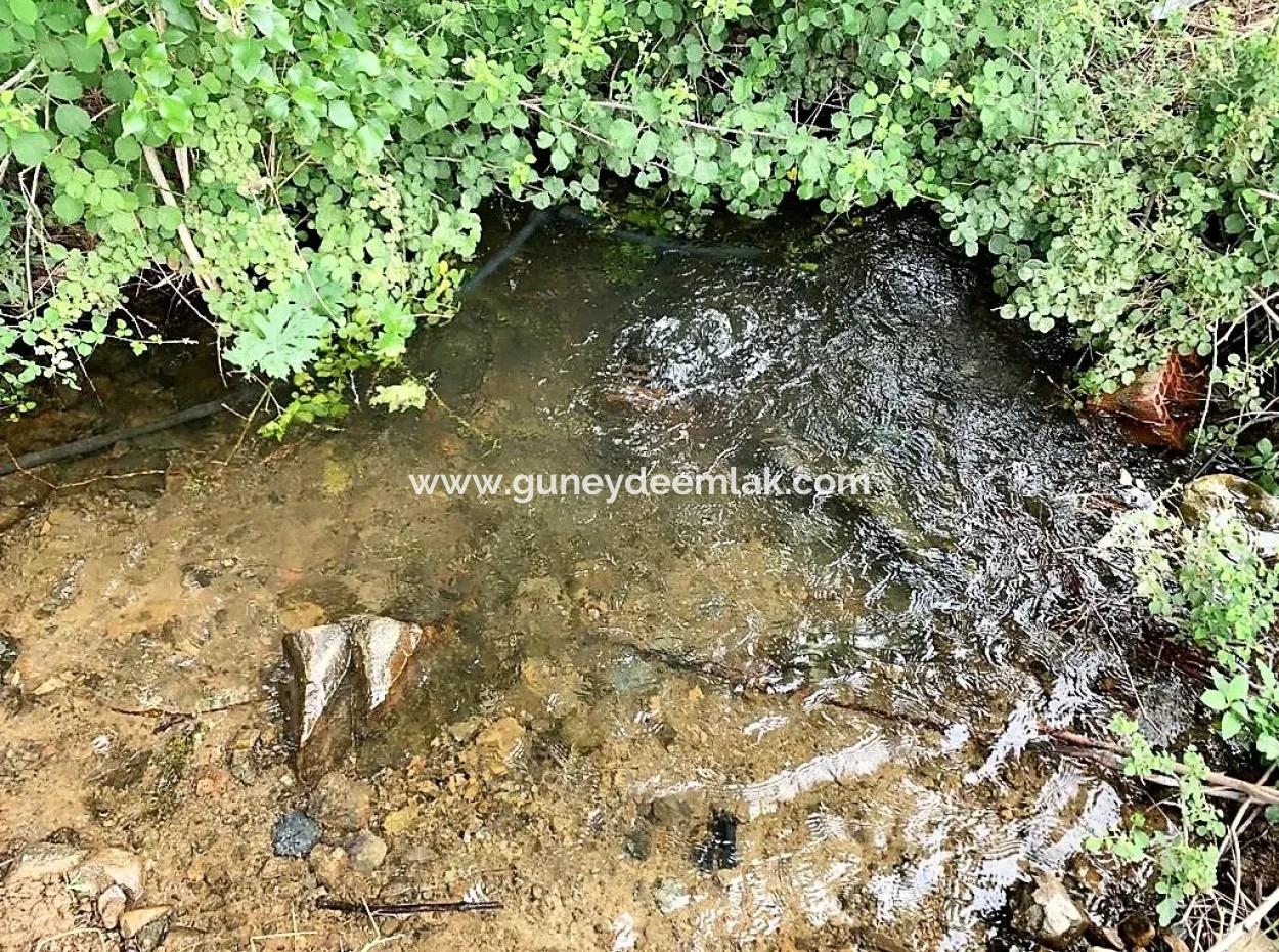 Teekante 10345 M2 Land Und Einfamilienhaus Zum Verkauf In Ortaca Cayli Pinienwald