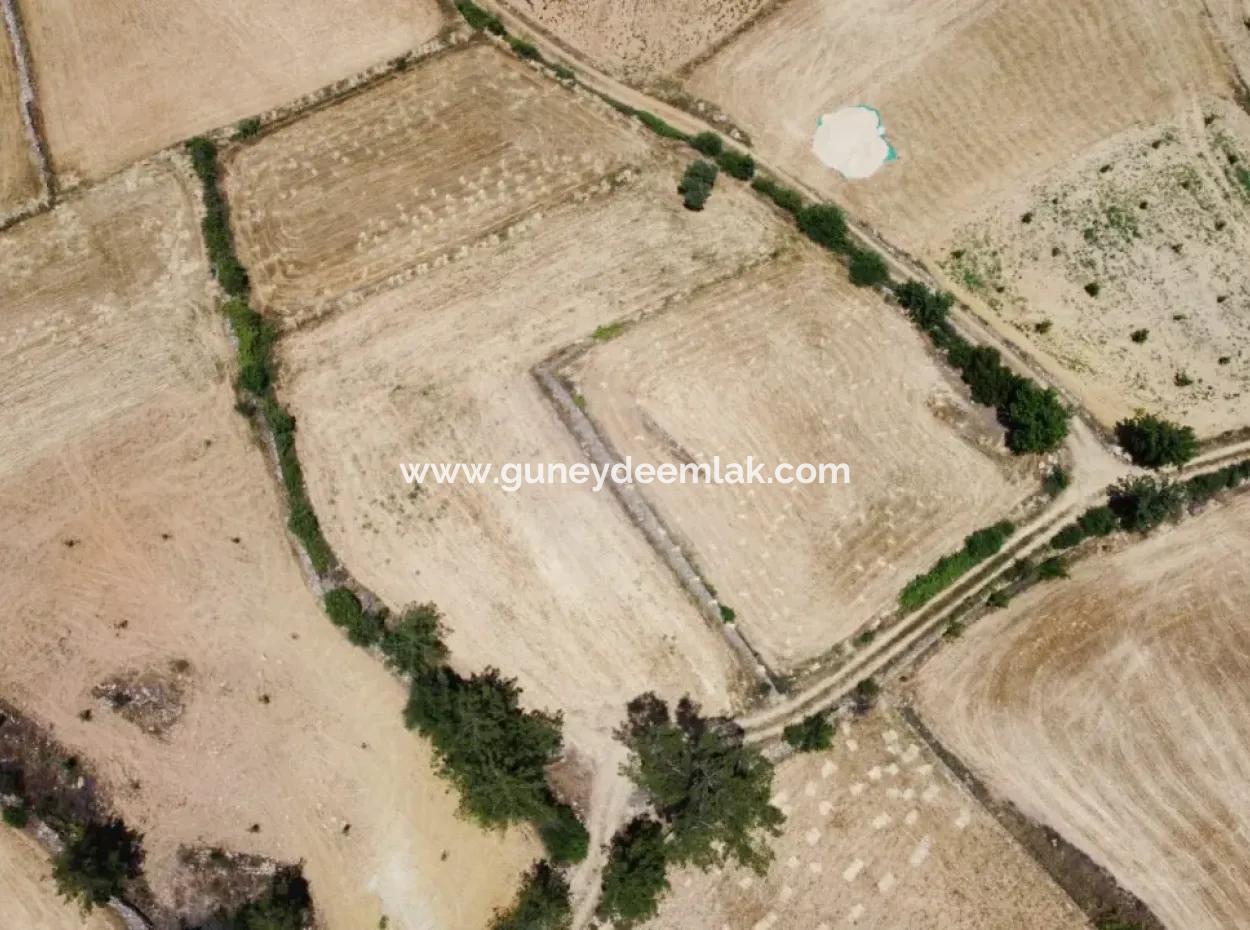 Mugla Menteşe Denizova 1869 M2 Schnäppchenfeld Zum Verkaufen