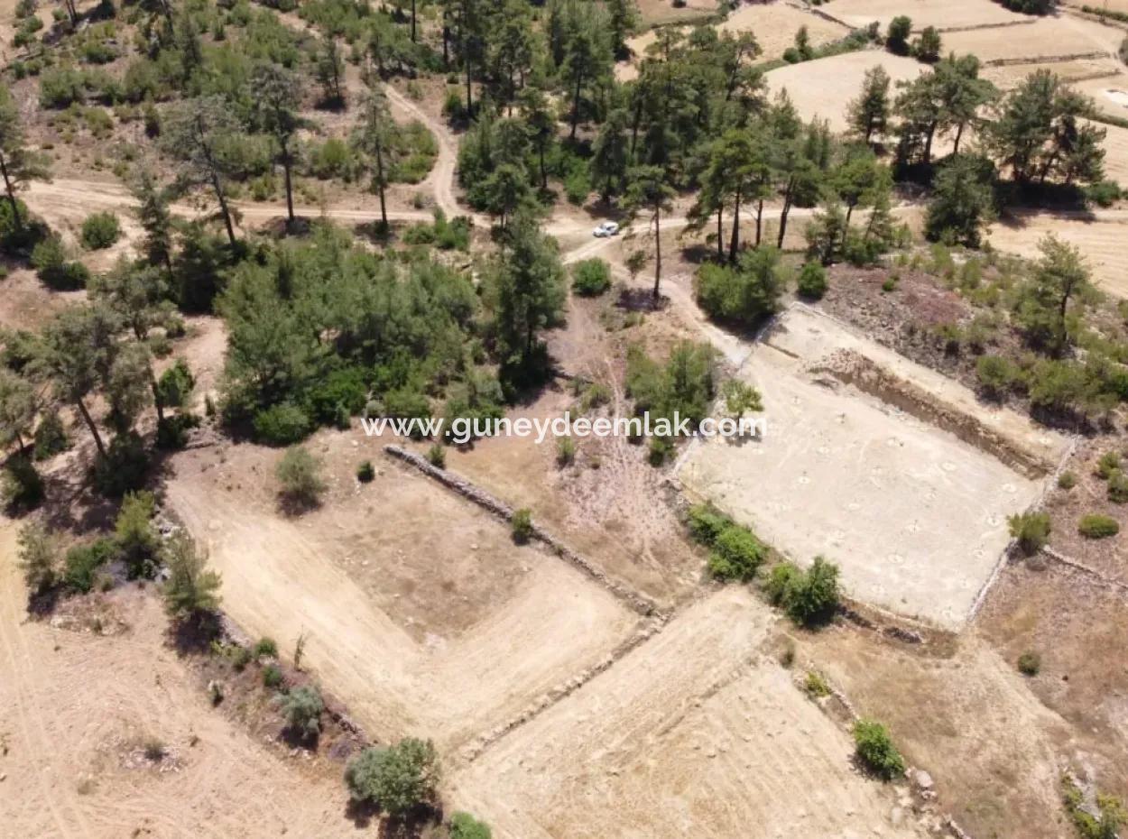 3031 M2 Freistehendes Feld Zu Verkaufen In Mugla Mentese Denizova