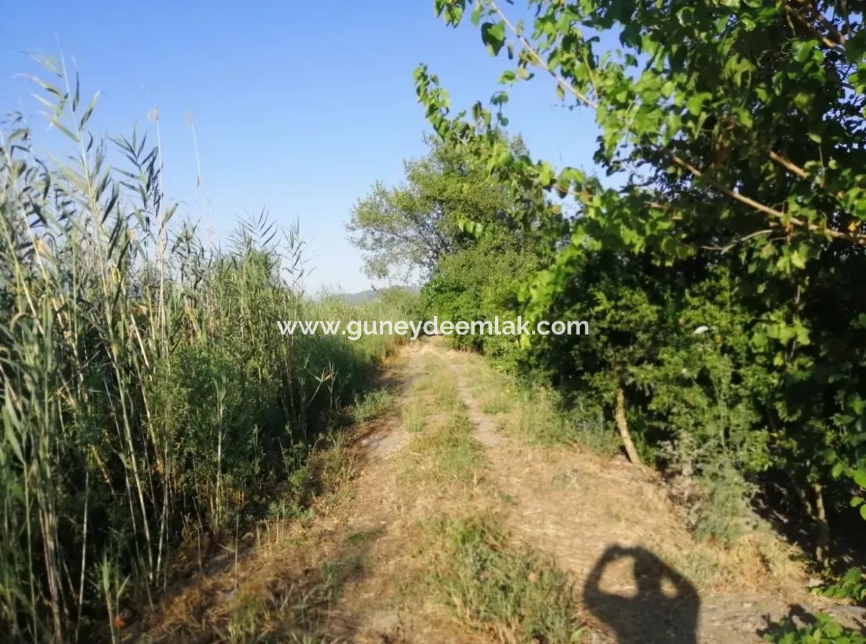 Garten Zum Verkauf In Oriya Tepearasi