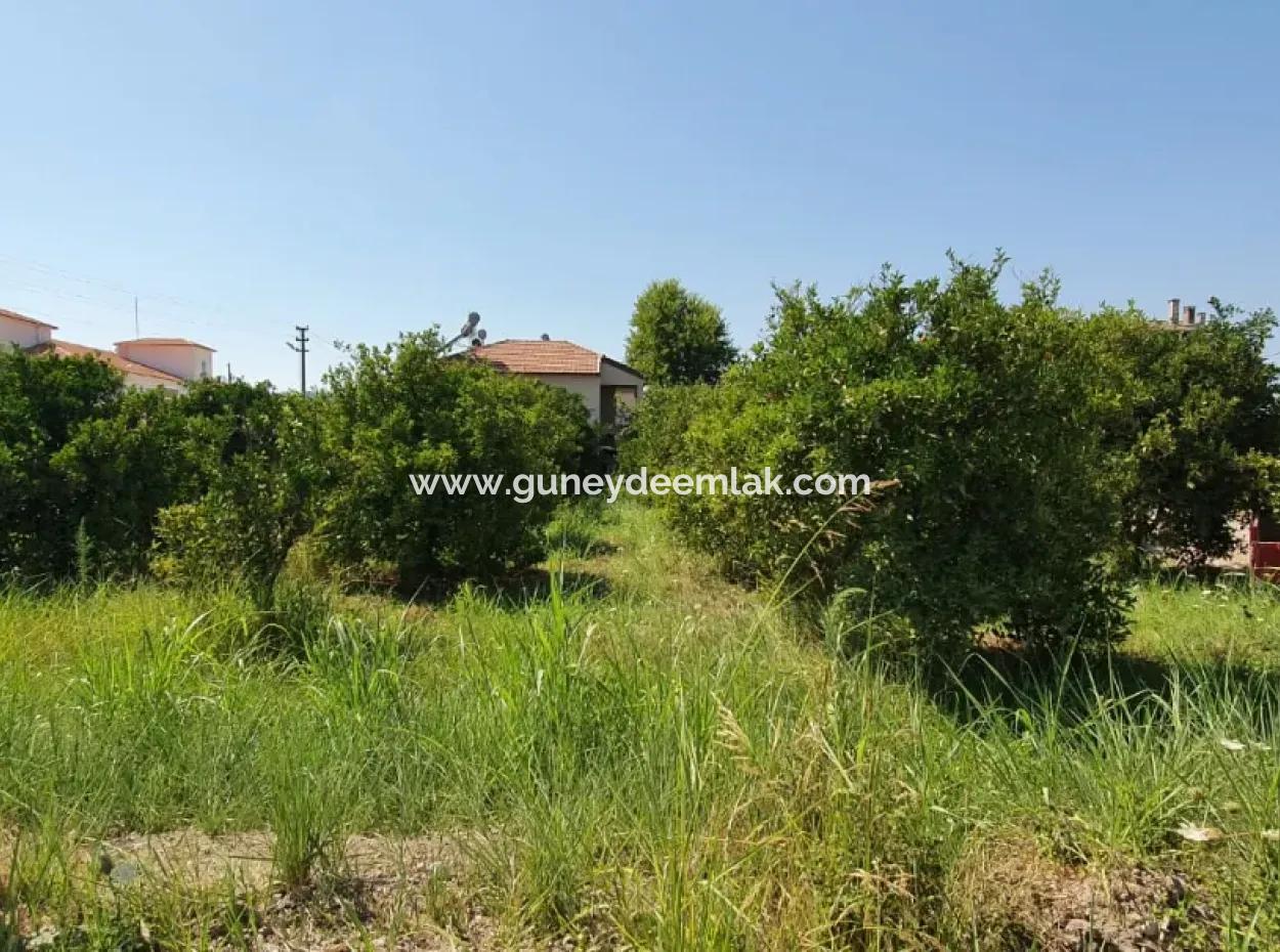 1063 M2 Zonierungsgrundstück Zum Verkauf In Mugla Ortaca Dikmekavak Nachbarschaft