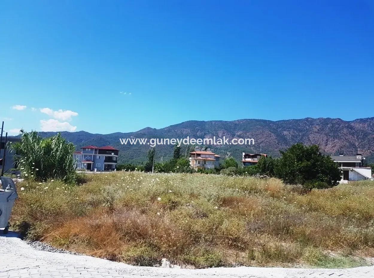 Mandarin Garten Zum Verkauf