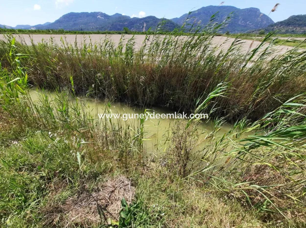 Fruchtbares Land Zu Vermieten In Ortaca Güzelyurt