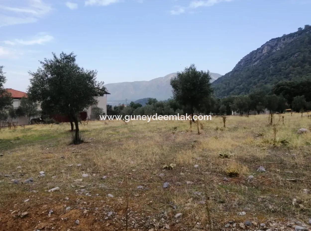 2788 M2 Feld Mit Seeblick Zu Verkaufen In Mugla Köyceğiz Zeytinalanı