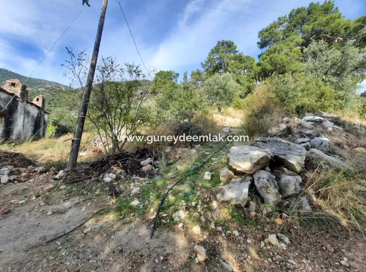 Meerblick Haus Zum Verkauf In Gocek Gokceovacik Und 246 M2 Grundstück