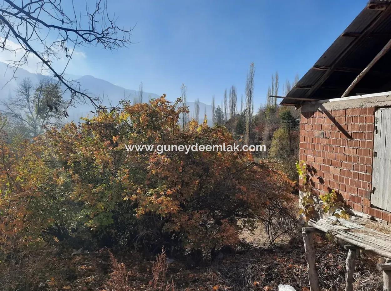 Çameli Cevizli Schnäppchen Scheune Und 2650 M2 Grundstück Zum Verkauf