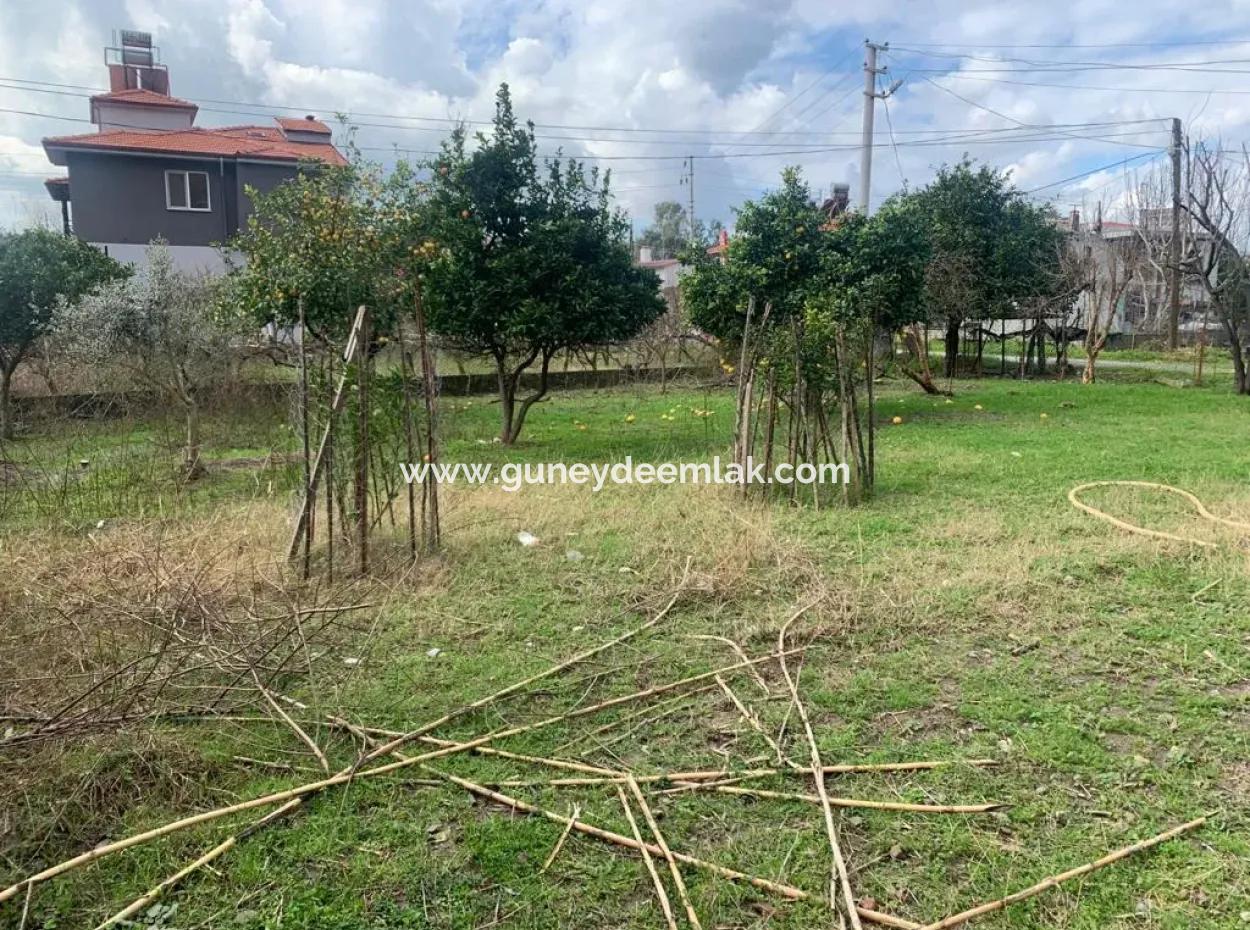 Mugla Ortaca 317 M2 30% Zonierung Land Zum Verkauf