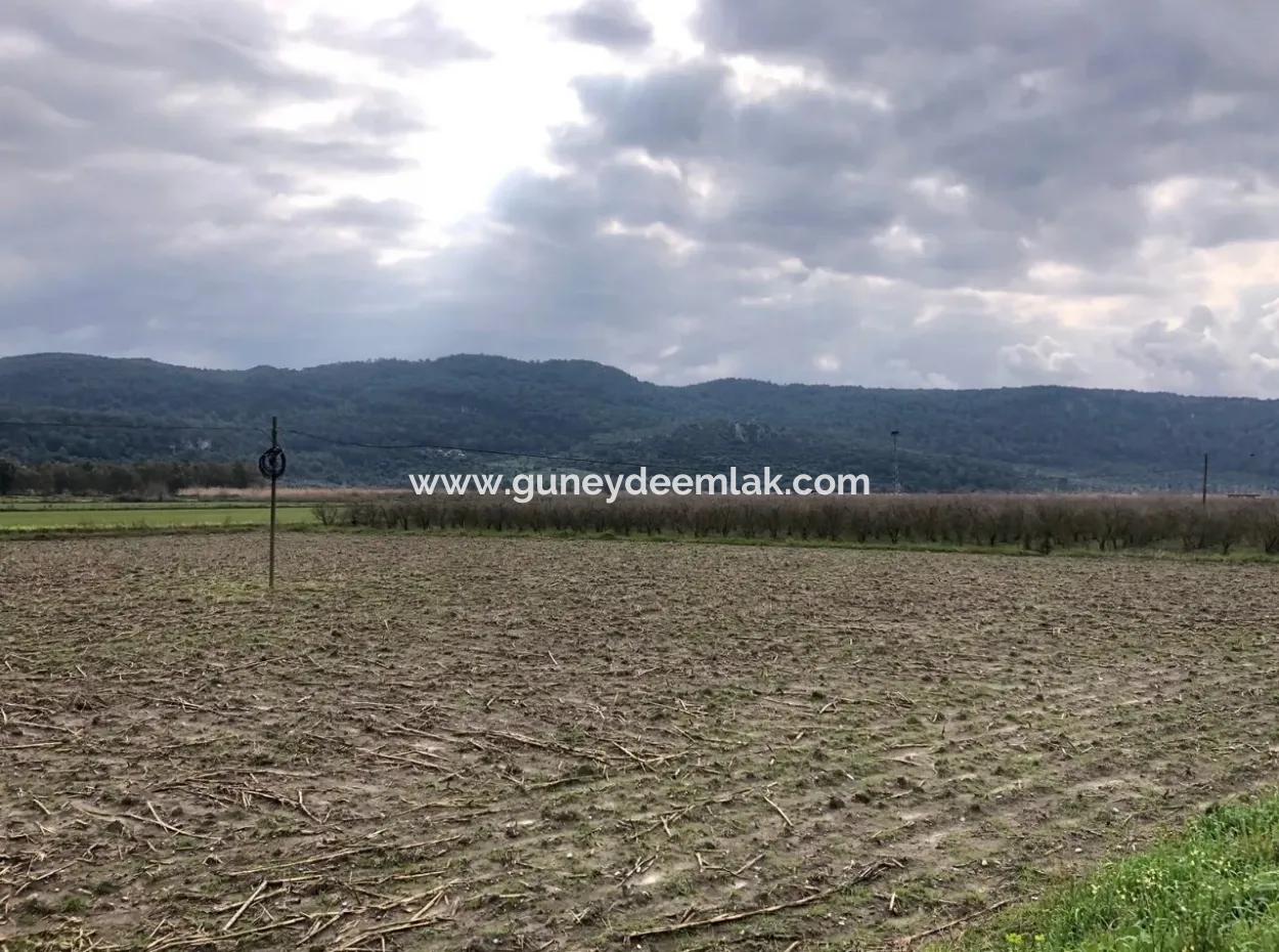 Ortaca Güzelyurt Zum Verkauf Auf Der Hauptstraße Null Feld