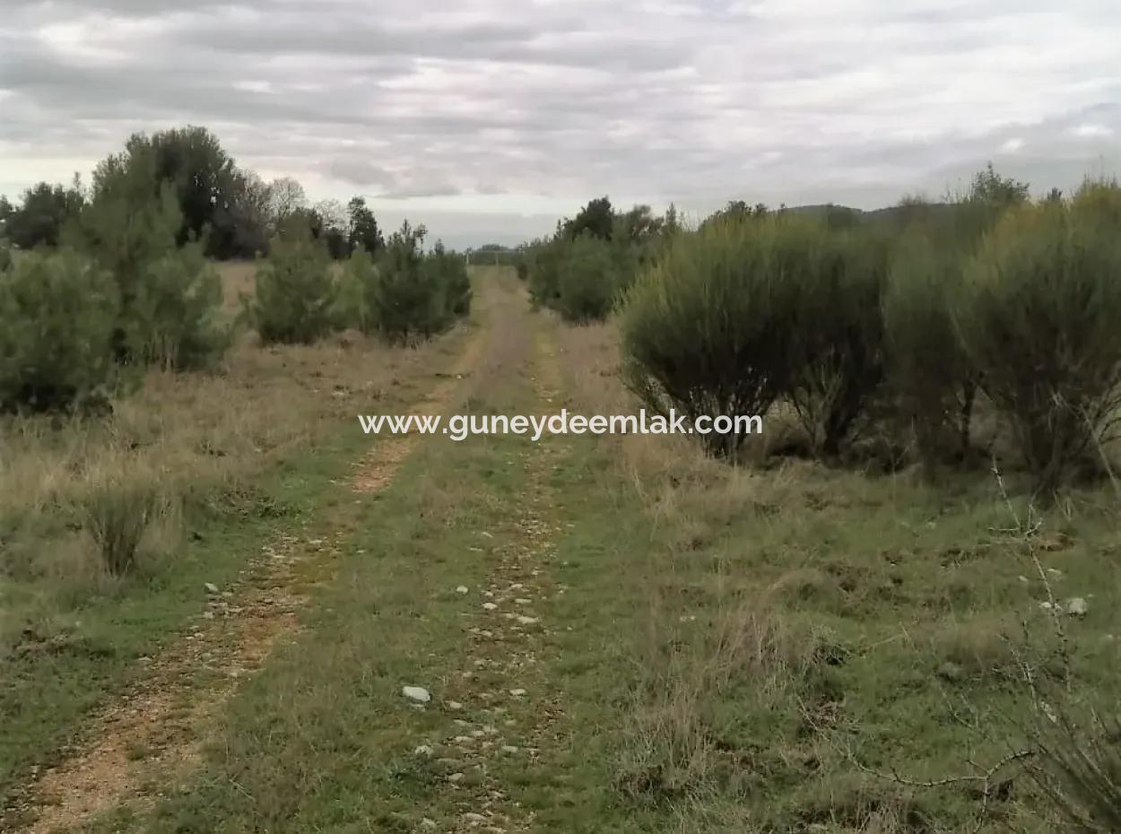 30949 M2 Fruchtbares Feld Zu Verkaufen In Mugla Dalaman Gürleyik