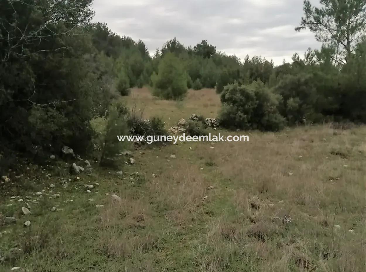 30949 M2 Fruchtbares Feld Zu Verkaufen In Mugla Dalaman Gürleyik
