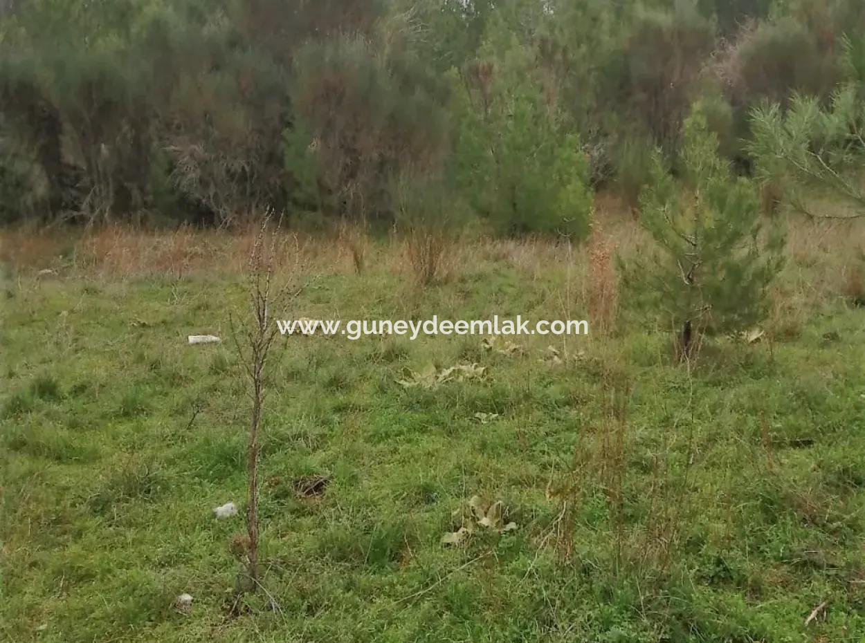 30949 M2 Fruchtbares Feld Zu Verkaufen In Mugla Dalaman Gürleyik