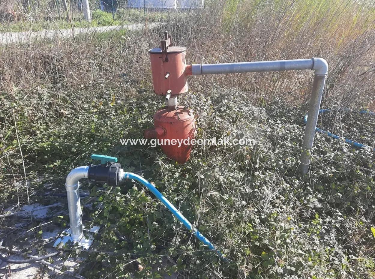 Mugla Ortaca Dikmekavak 6000 M2 Grundstück 3+ 1 Einfamilienhäuser Zu Vermieten