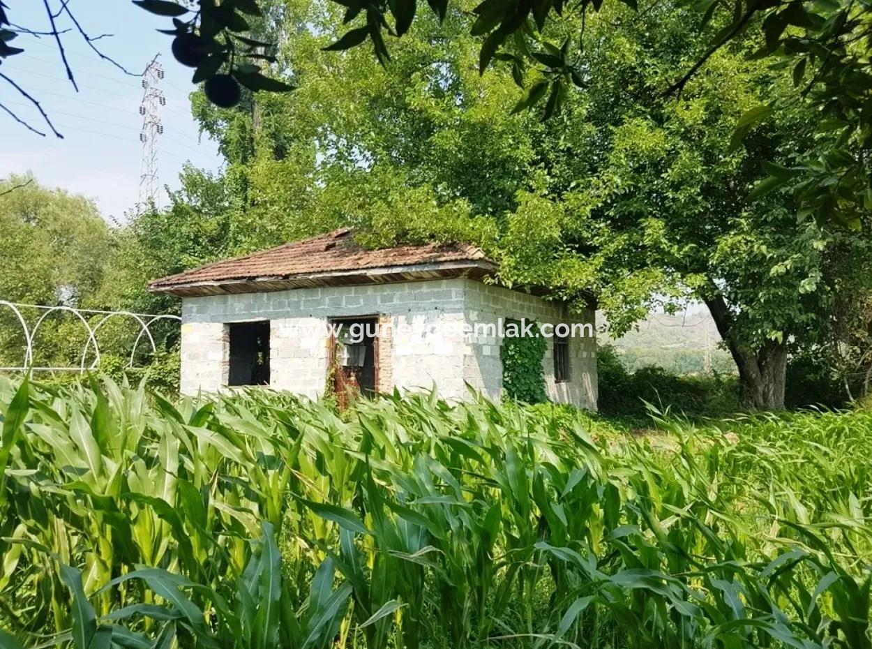 Dalaman Billig Grundstücke Zum Verkauf In Investitionen, Entsprechende Land