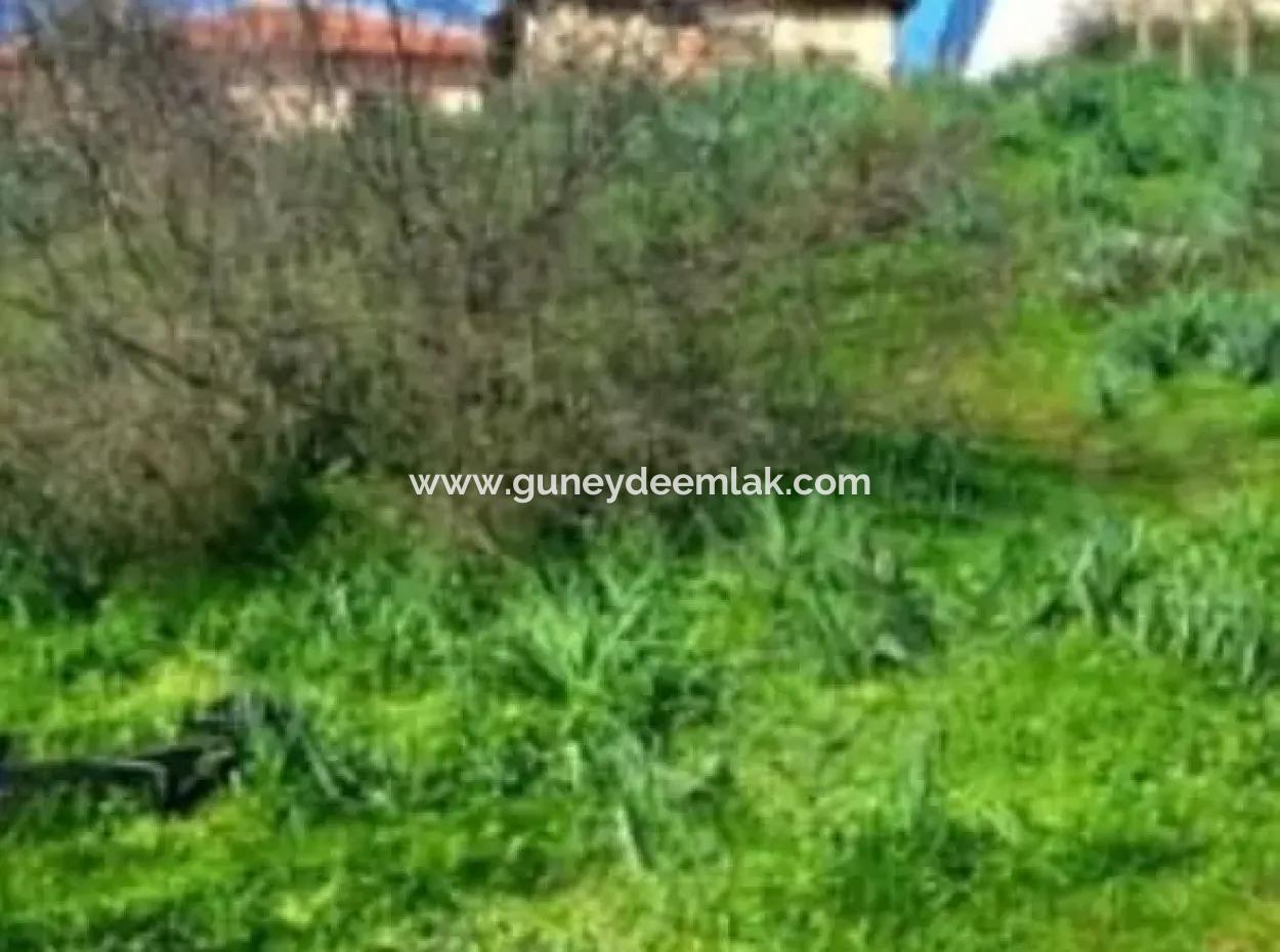 Mugla Ula Esentepe 708 M2 % 20 Zonierung Grundstück Zum Verkauf