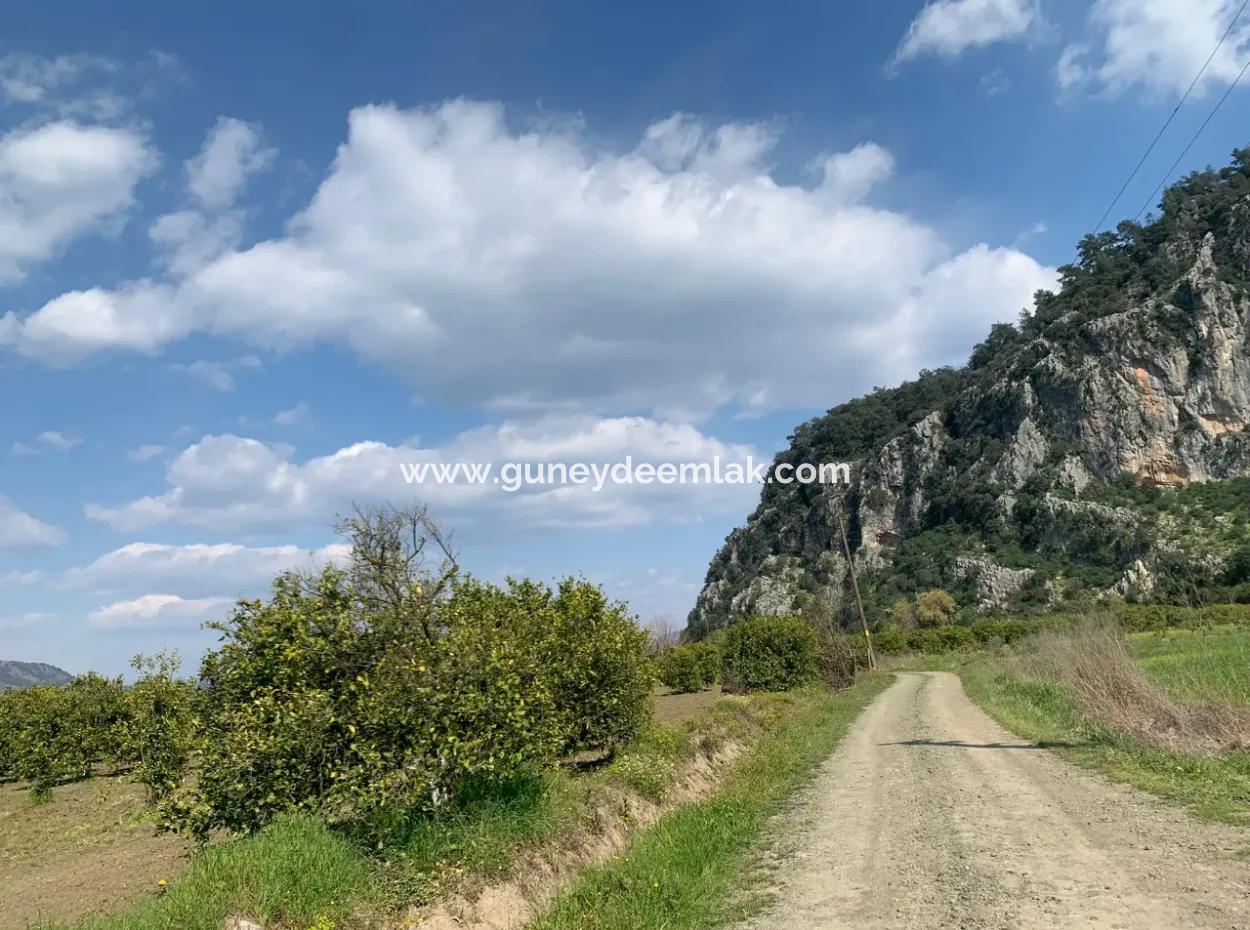 Mugla Dalyan Marmarlı 1500 M2 Grundstück Zum Verkauf