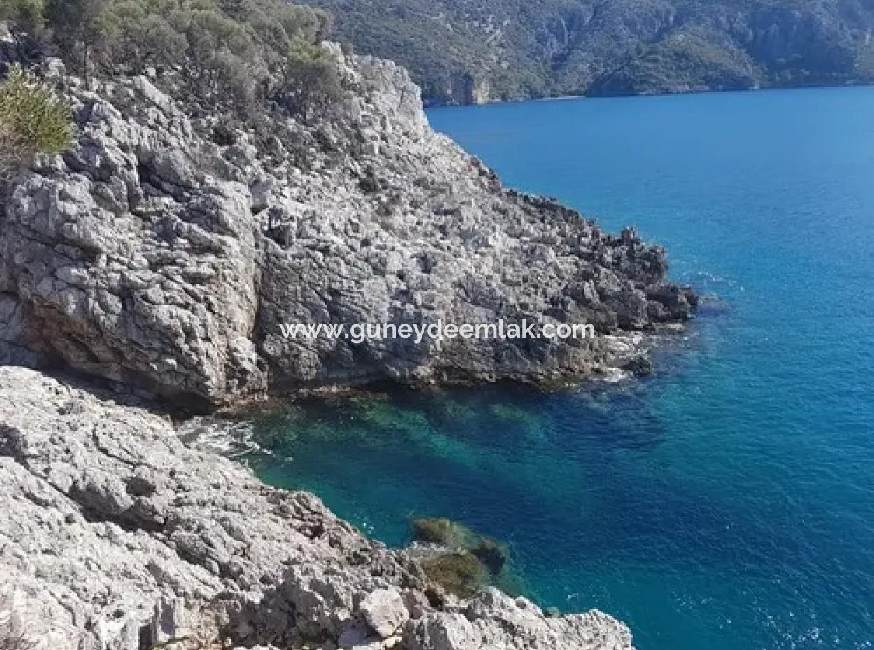 Dalyan, Gökbel De Meer Freistehend 1 300 M2 Olivenhain Zu Verkaufen