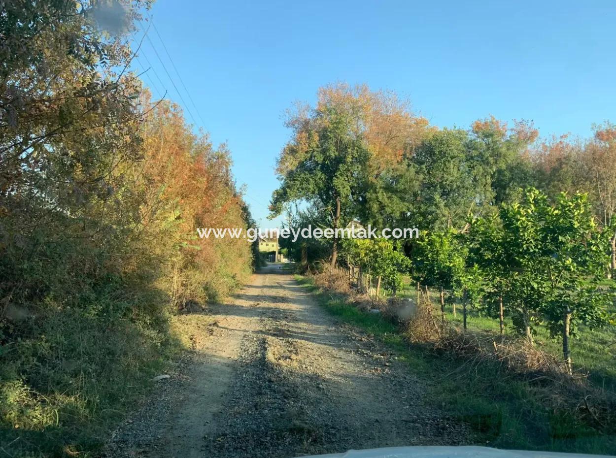 3000 M2 Von 28.394 M2 In Ortaca Güzelyurt Feld Zu Verkaufen