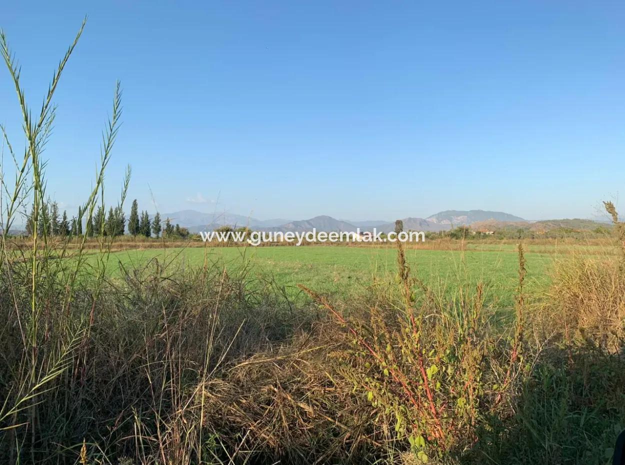 3000 M2 Von 28.394 M2 In Ortaca Güzelyurt Feld Zu Verkaufen