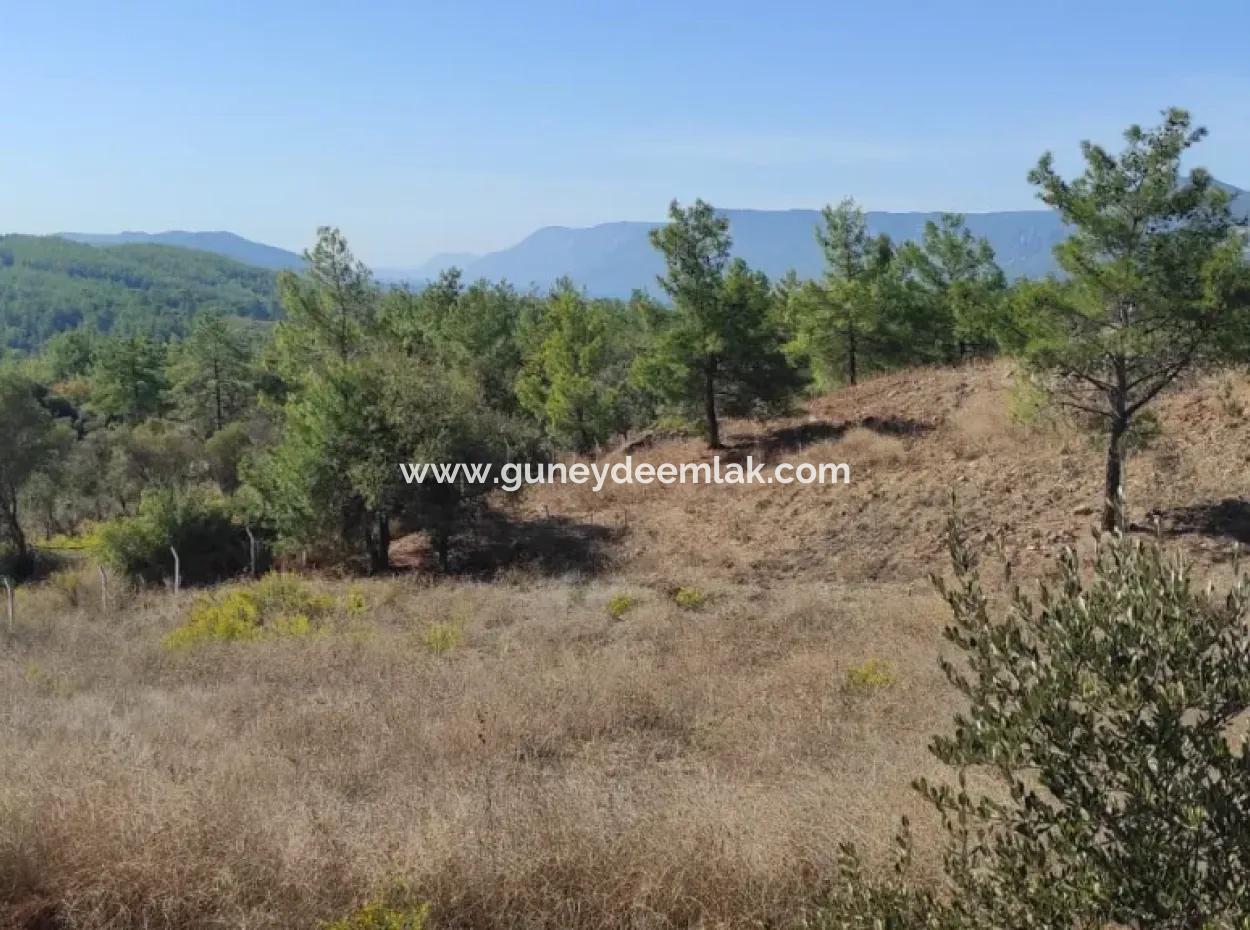 Ula Esentepede 4 200 M2 Meerblick Grundstück Zum Verkauf