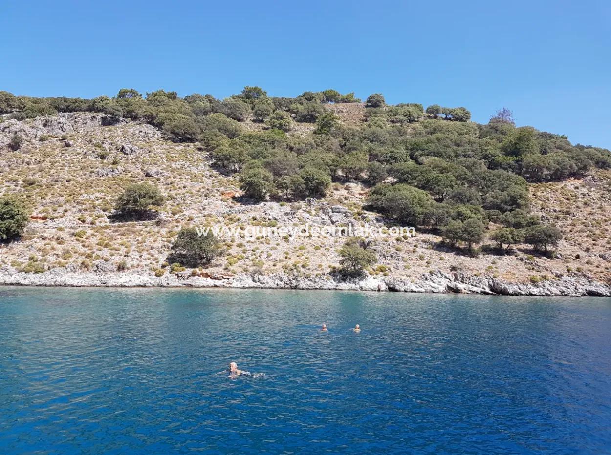 Fethiye Göcek Insel Sea Side Lage 2600 M2 Olivenhain Zum Verkauf