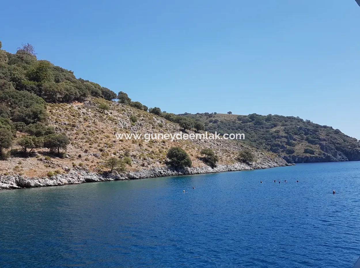 Fethiye Göcek Insel Sea Side Lage 2600 M2 Olivenhain Zum Verkauf