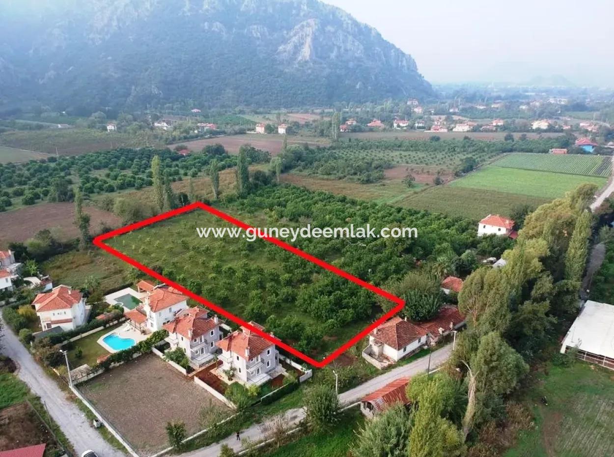 Muğla Ortaca Marmarlıda 4.000 M2 Zitronengarten 5 Jahre Vermietung