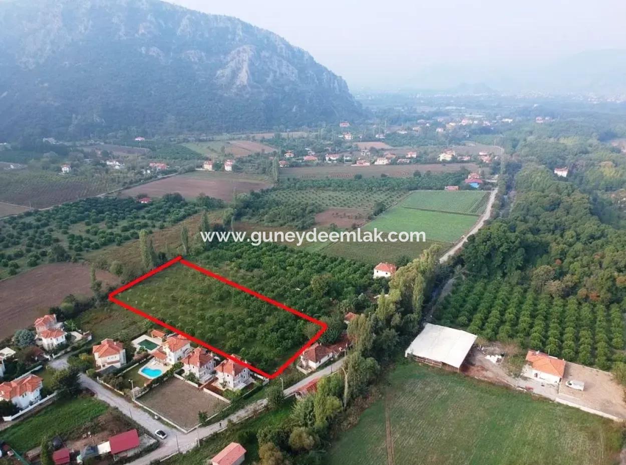 Muğla Ortaca Marmarlıda 4.000 M2 Zitronengarten 5 Jahre Vermietung