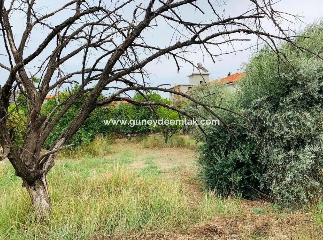 Wohn-Grundstück Für Verkauf In Der Mitte Von Oriya