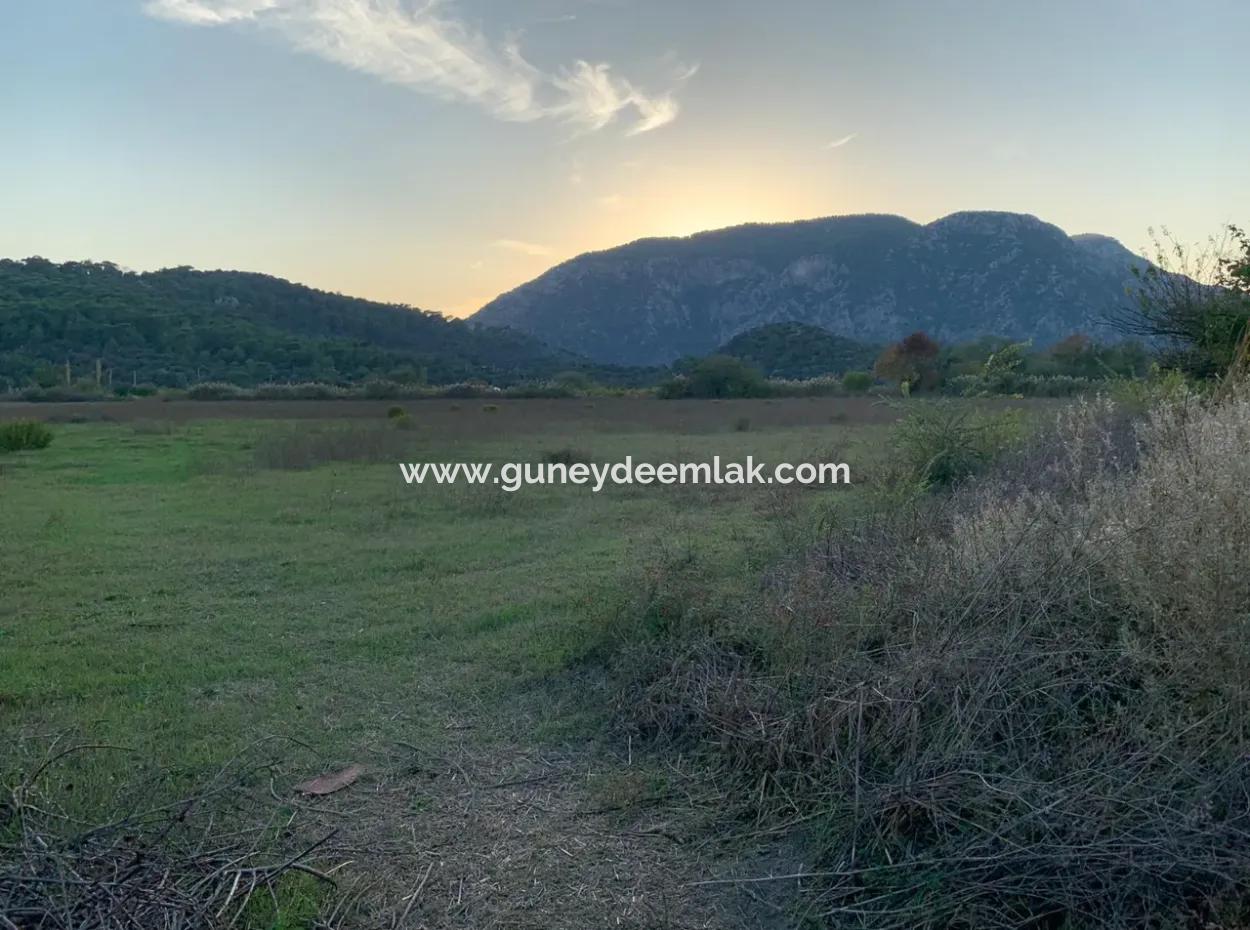 26.200 M2 Freistehendes Feld Und 3.000 M2 Zum Verkauf In Ortaca Güzelyurt