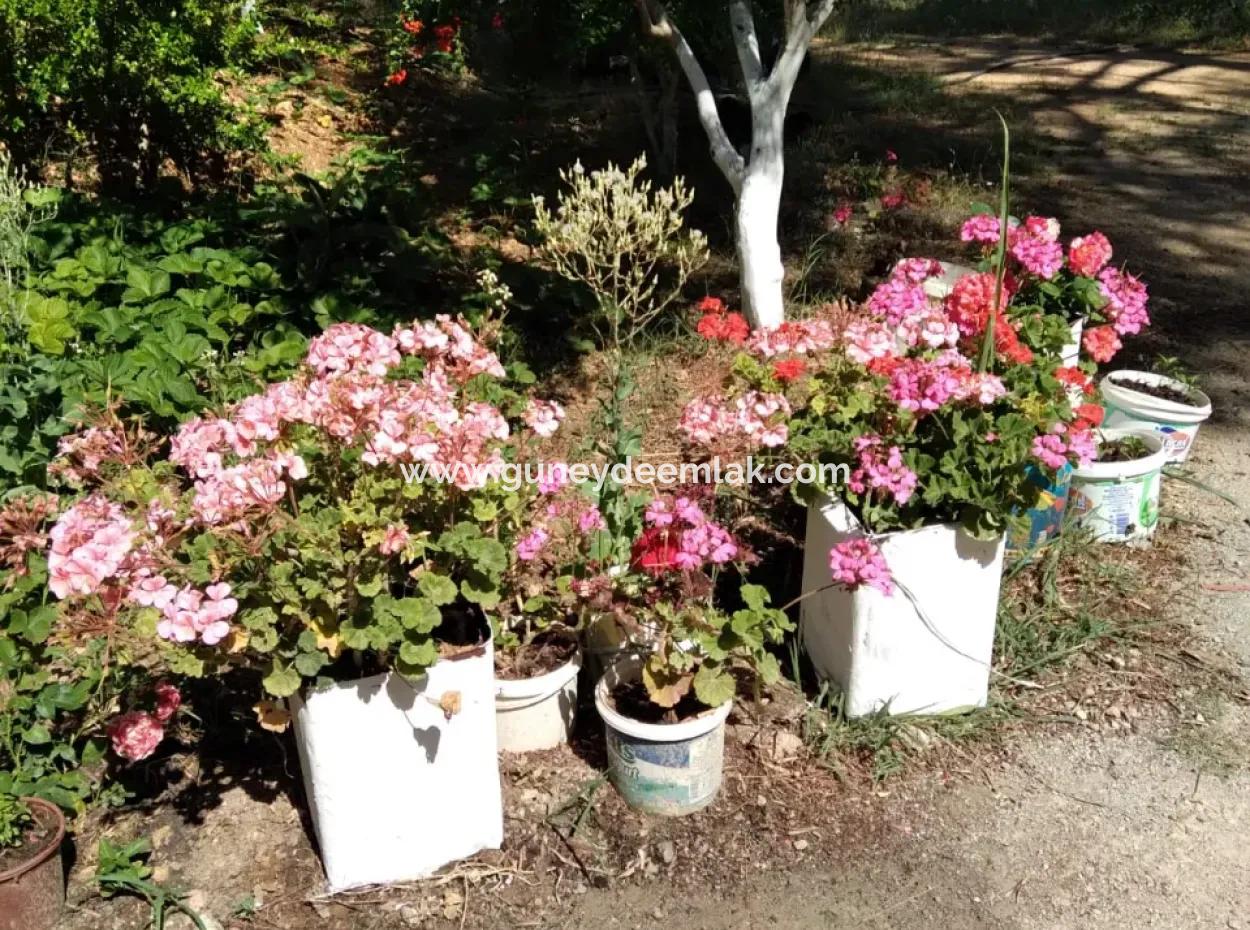 Ortaca Cumhuriyet Mah. 3-Stöckiges Haus Komplett Zum Verkauf Auf 357 M2 Grundstück