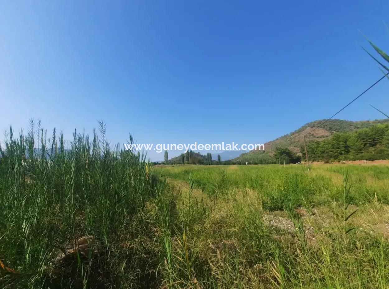 Muğla Ortaca Ekşiliyurt 8.000 M2 Fruchtbares Land Zum Verkauf