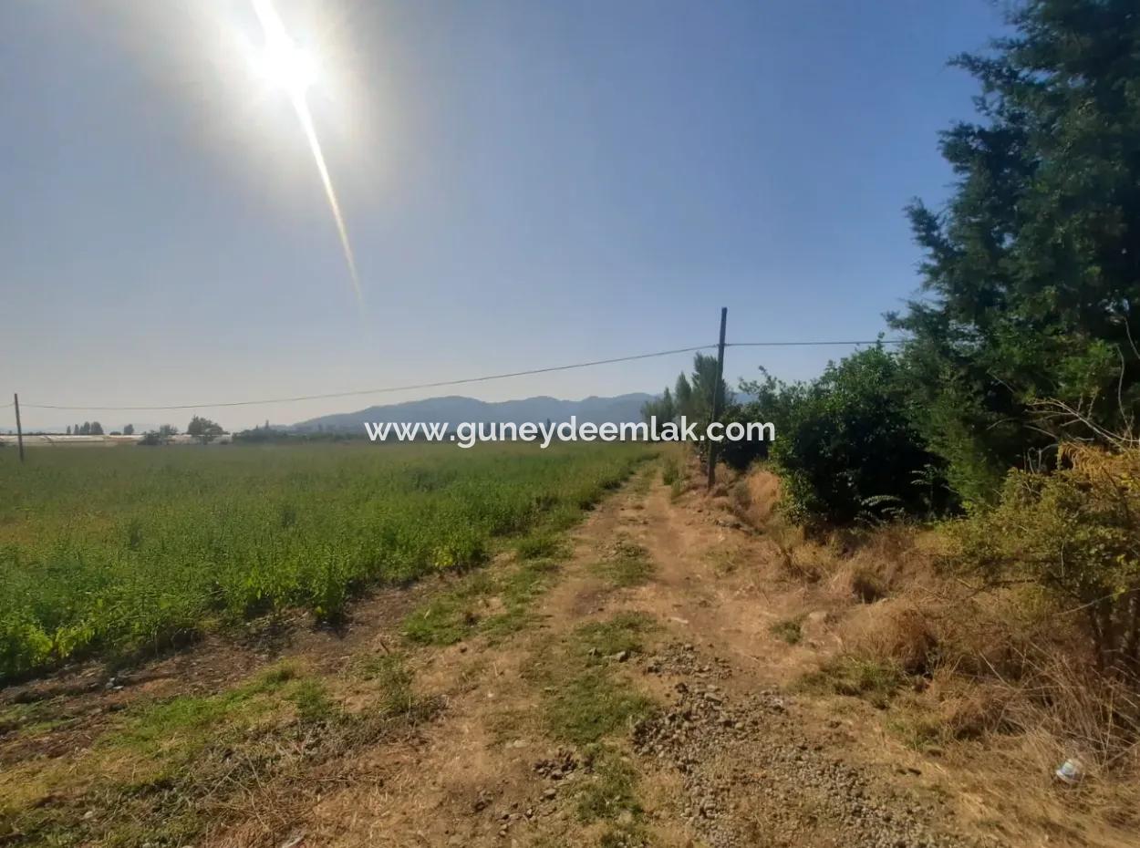 Muğla Ortaca Ekşiliyurt 8.000 M2 Fruchtbares Land Zum Verkauf