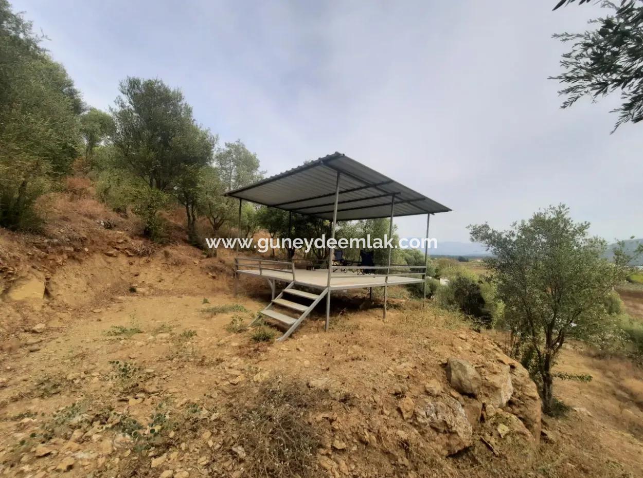 2 500 M2 Schatzgrundstück In Eskiköy Das Besitzrecht Wird Übertragen Oder Das Fahrzeug Ausgetauscht