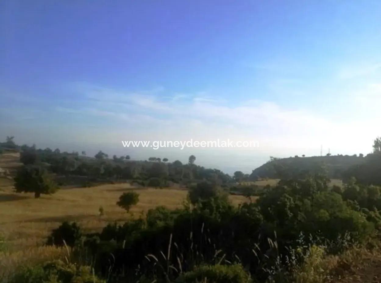 Grundstück Mit Meerblick Zum Verkauf In Boğaziçi Seydikemer