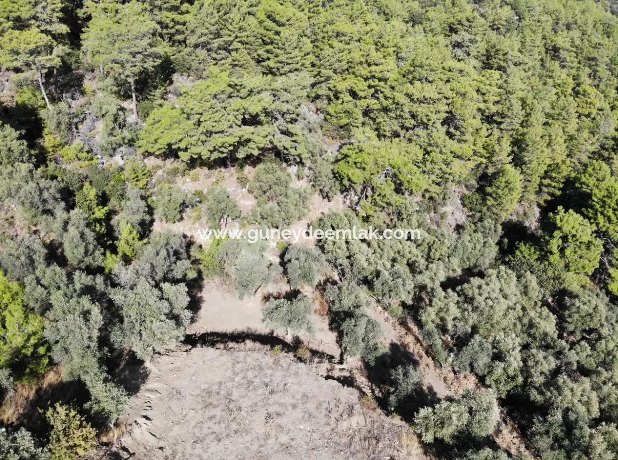 Zu Verkaufen 403 M2 Grundstück In Sarigerme